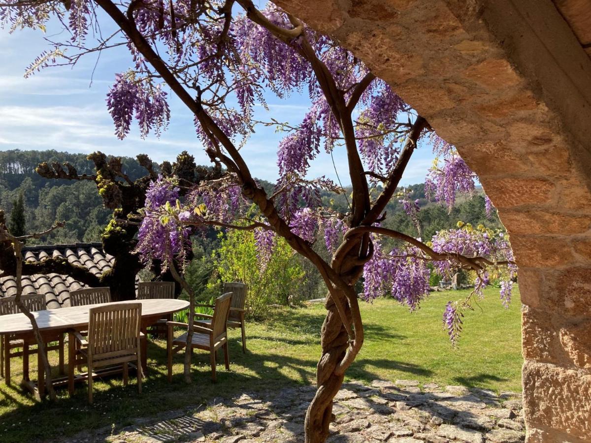 Mas De La Giralde - Bed & Breakfast